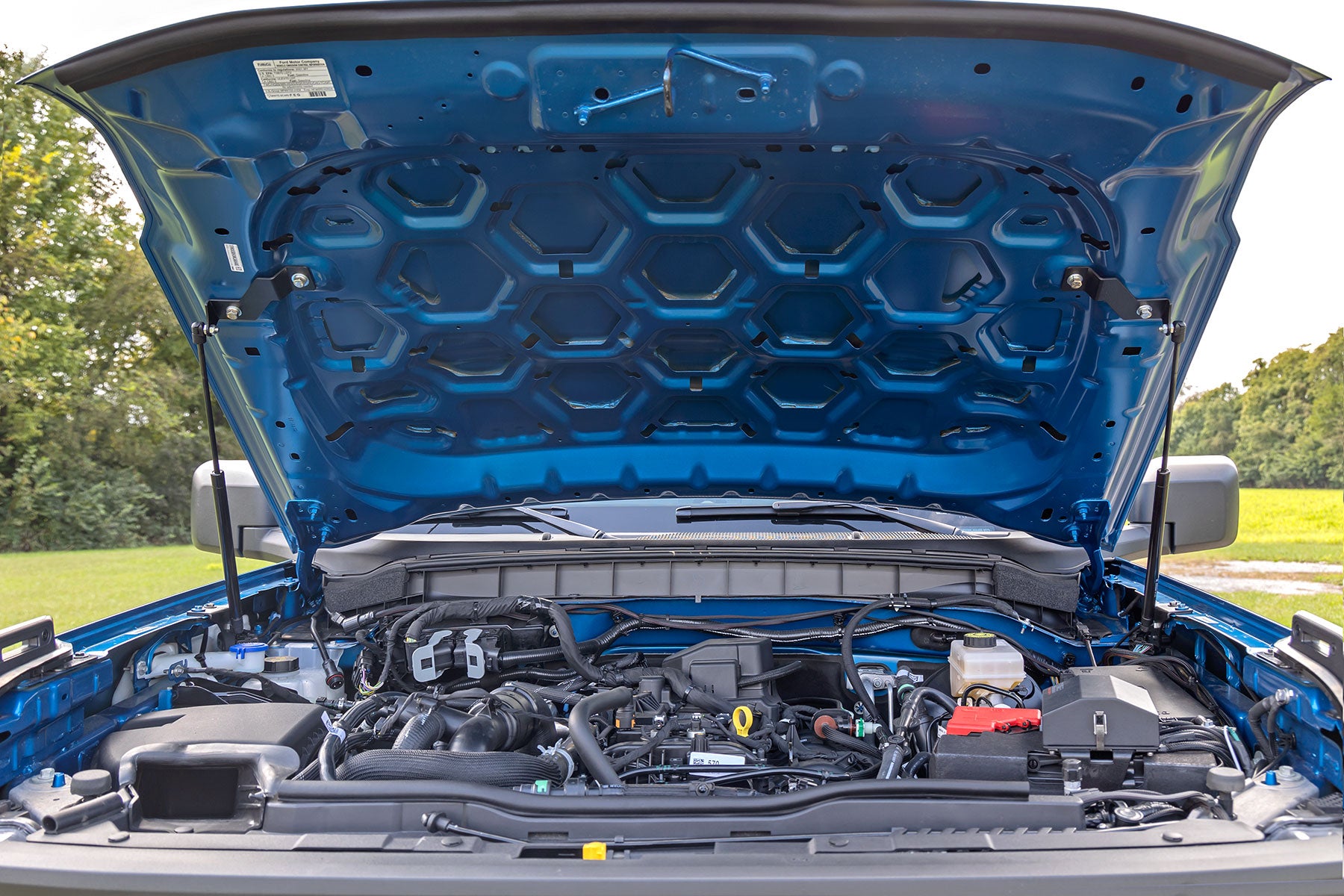 Hood Struts | Hydraulic | Ford Bronco 4WD (2021-2025)