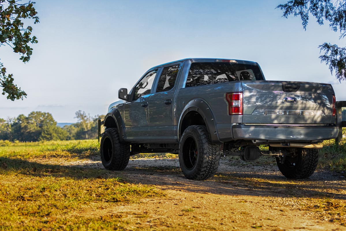 Fender Flares | Defender | BN Silver Spruce | Ford F-150 2WD/4WD (2015-2020)